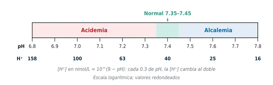 Figura 1.1. Escala de pH y concentración de H⁺: la franja normal es estrecha y cada 0.3 de pH duplica la [H⁺].
