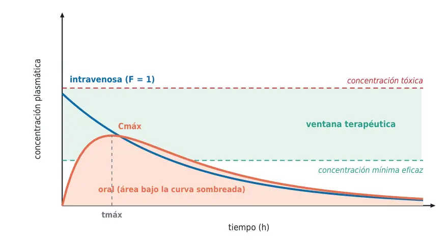 Figura 1.2. Concentración plasmática contra tiempo tras una dosis intravenosa y una oral: Cmáx, tmáx, área bajo la curva y ventana terapéutica.