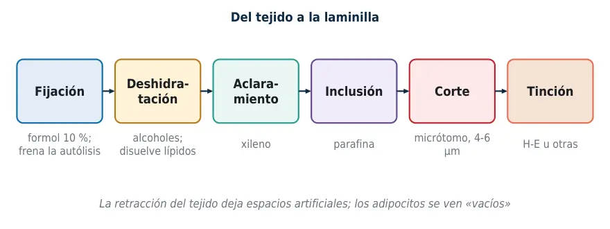 Figura 1.1. Pasos para preparar un corte histológico en parafina y el artefacto típico de cada uno.