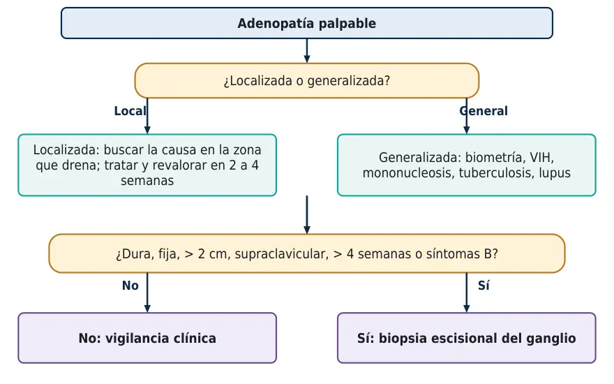Algoritmo 1.1. Cómo razonar una adenopatía: localizada o generalizada, aguda o crónica, y qué datos obligan a biopsia.